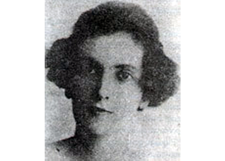 Livro de Aço